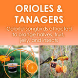 Heath CF-133: Clementine Oriole Bird Feeder for Jelly, Nectar, Mealworms and Fruit Halves - 1 Jar