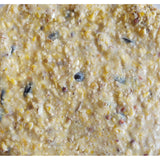 Heath Outdoor Products Premium Crafted Suet Cakes Pumpkin Treat Suet Cake DDC7-12