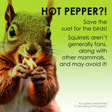 Heath DD-25: 11.25-ounce Hot Pepper Squirrel-resistant Suet Cake - 12-pack Case