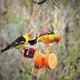 Heath CF-133: Clementine Oriole Bird Feeder for Jelly, Nectar, Mealworms and Fruit Halves - 1 Jar