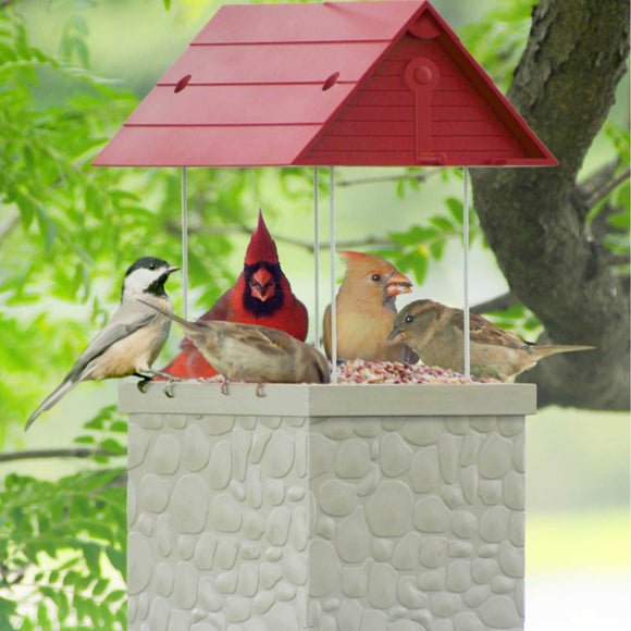 Heath 2601: Infinity Auto-fill High-capacity Outdoor Bird Feeder