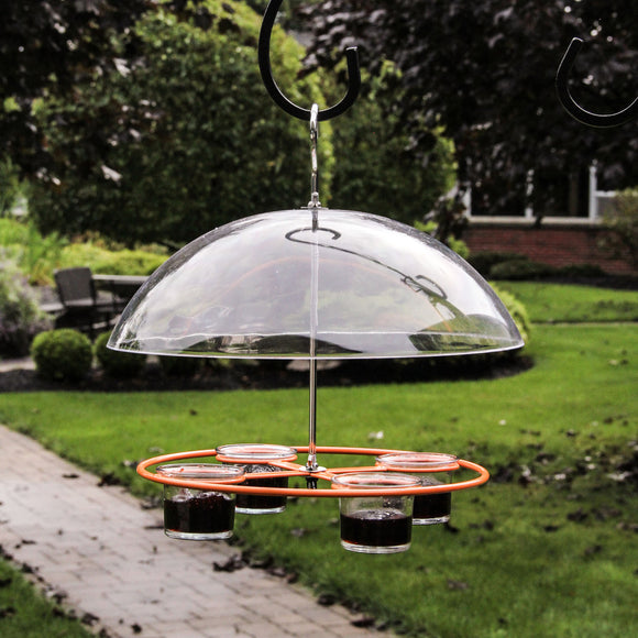Heath CF-135: Oriole Bird Feeder with Clear Dome Baffle and 4 Jars for Jelly, Nectar or Mealworms
