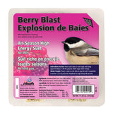 Heath DD-15: Berry Blast, All-Season Suet Cake, No Melt, 11.25-Ounce Cake, 12-Pack