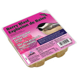 Heath DD-15: Berry Blast, All-Season Suet Cake, No Melt, 11.25-Ounce Cake, 12-Pack